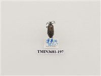 藏品(鞘翅目(1))的圖片